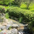 압해 송공산성 이미지