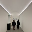 하나이 유스케 展 - 신세계갤러리 청담