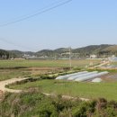 대선로2 이미지