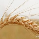 주 酒소 이미지