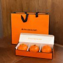 씨유제주이호해변점 | 제주 귤쫀쿠가 대세! 에귤타르트 이호테우해변점 포장 후기