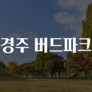 경주 버드파크 여행 가이드