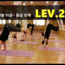 요가(중급) 이미지