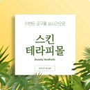 리미기획 네이버블로그