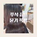 수정미용실 | 부평미용실 르미네상스 | 수정 디자이너 모발클리닉 6단계 솔직 후기