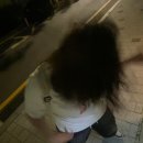 휴일에 휴일씨 보고오기