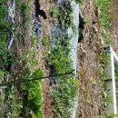 문상농장 이미지