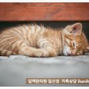 파주한의원 네이버블로그