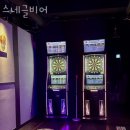 스네글비어 네이버블로그