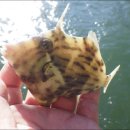 스테이 이음새 이미지