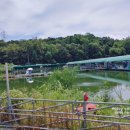 배다리낚시터 이미지