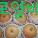 금숙농장 네이버블로그