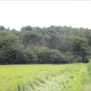 포항시북구17 이미지