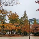 소바우공원 이미지