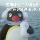소소한요가