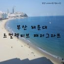 르컬렉티브 해운대 패러그라프 | 해운대 호캉스 끝판왕! 르컬렉티브 해운대 패러그라프 812호 내돈내산 솔직 리뷰 (풀장 대박!)