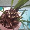 팔도공인중개사사무소 이미지