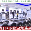 다온점핑다이어트 이미지