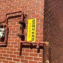 금강스튜디오 | 버드투블룸 액자,앨범 수령후기 (+금강액자 3만원 액자갈이)