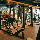 스파르타짐 이미지