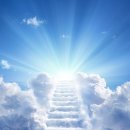 사랑의 창조 이미지