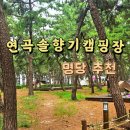 A140 | 강릉 연곡솔향기 캠핑장 명당 추천 A,B사이트, 카라반 둘러보기