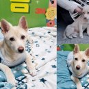리플러스침촌점