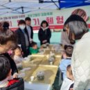 진부새싹길 이미지