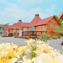 아리지 핀란드 이미지