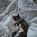 전곡읍-21 | 일상/일주일기_다시 일상으로_260302~260308