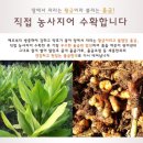 세종 바이오(BIO) 이미지