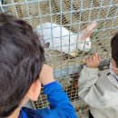 함평태권도장 이미지