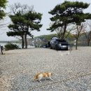 안성 캠핑장 히든캠프에서 2박 3일의 호수뷰 힐링 후기