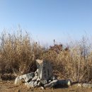 새벌농장 이미지