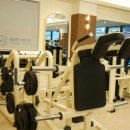 로하핏 스튜디오 | 위례pt 로하핏 스튜디오 상체운동 후기