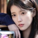 꽃갈피 이미지