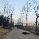 김해 율하 아파트 어디가 좋을까?｜율하 1지구 vs 2지구 실거주 비교