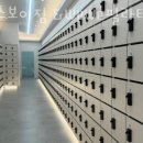 헬스보이짐 당리점 이미지