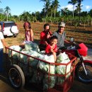 복 농장 이미지