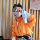 다비치안경부안점 | 정서진마라톤 | 하프마라톤 | 초보러너 | 첫 하프 도전 | 마라톤 | 4주만에 하프마라톤 | 러닝 | 달리기