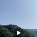 배꼽수상스키
