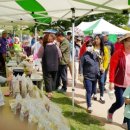 읍성경로당 이미지