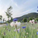 논공공단주유소 이미지