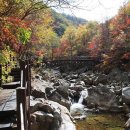 산내면 반선마을 이미지