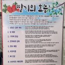 느림보농장 이미지