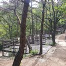 영인산자연휴양림 숲속야영장 이미지