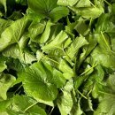 도안농장 이미지