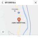옥정신도시주유소 이미지
