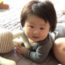 포에스