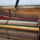 사파이어빌딩 이미지